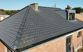 chien assis sur toiture inclinée