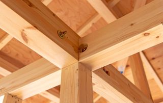 charpente en bois clair