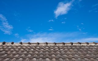 Toiture tuiles et ciel bleu